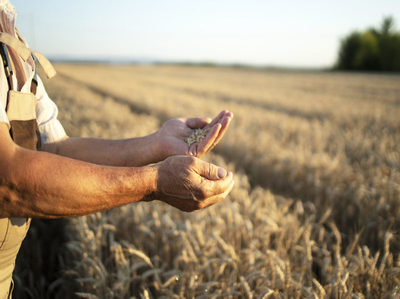 Agricultura resiliente al clima: reducción de insumos y optimización de flujos en sistemas agrarios