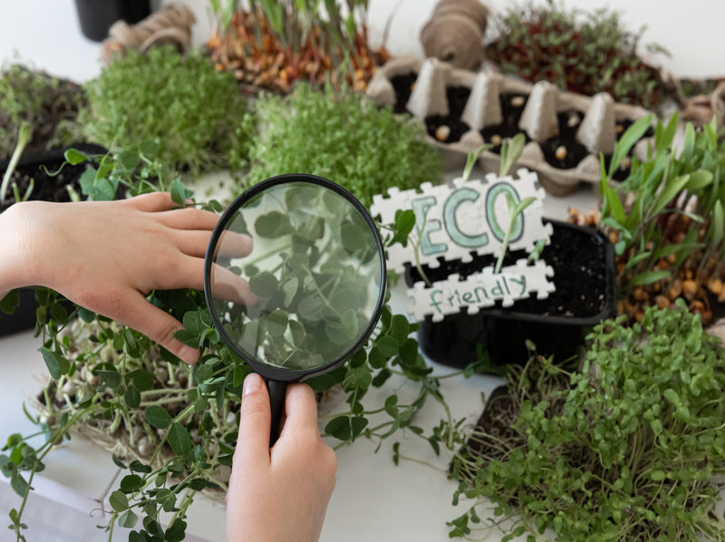 Compostaje de residuos oleícolas recalcitrantes como estrategia de valorización circular