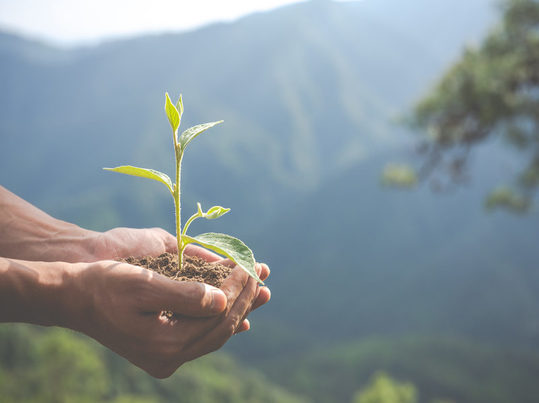 Informe oficial de India confirma potencial energético y circularidad de residuos agrícolas