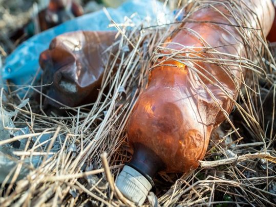 Gasificación de residuos agroforestales para sistemas energéticos descentralizados en África