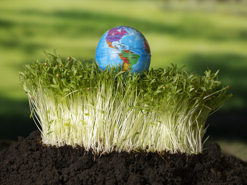 Renaturalización agraria para reforzar la resiliencia climática