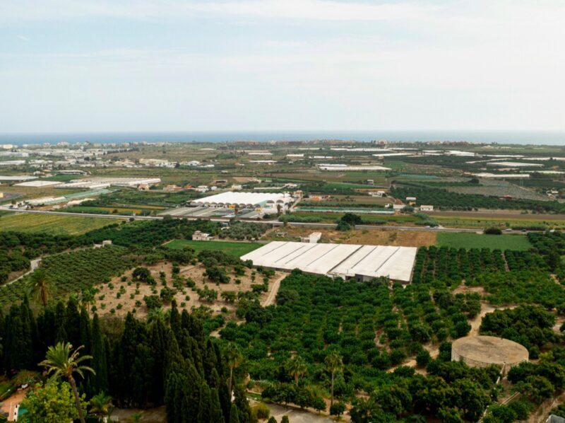 Valorización energética de residuos agrícolas: la cascarilla de arroz como recurso para generación eléctrica