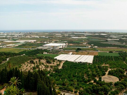 Valorización energética de residuos agrícolas: la cascarilla de arroz como recurso para generación eléctrica