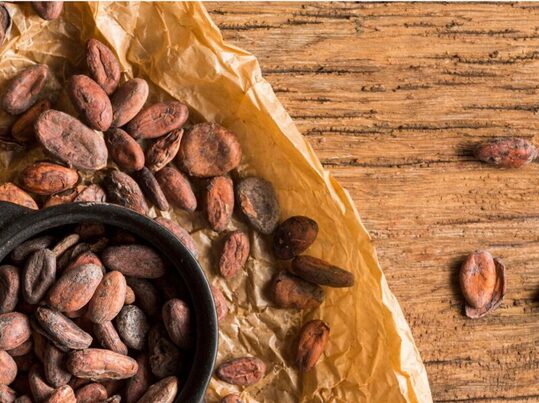 Residuos de cacao se convierten en suplementos funcionales para alimentación animal
