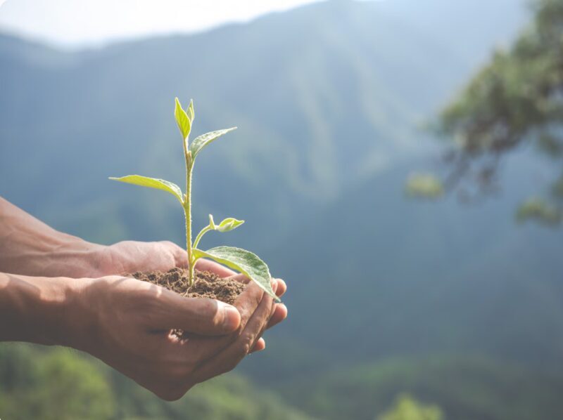 Circularidad del plástico y límites planetarios: relectura del sistema bajo restricción ambiental