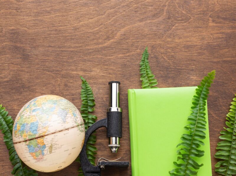 El reto circular de los envases flexibles