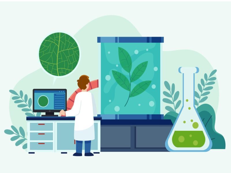 La biotecnología impulsa proteínas alimentarias sostenibles