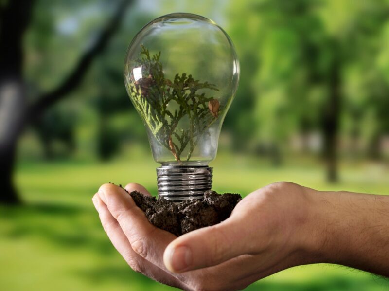 Economía circular competitiva: el reto de convertir la sostenibilidad en lógica de mercado