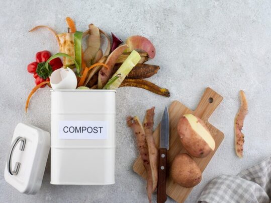 El compostaje industrial pide ganar espacio en el desarrollo del nuevo reglamento europeo de envases