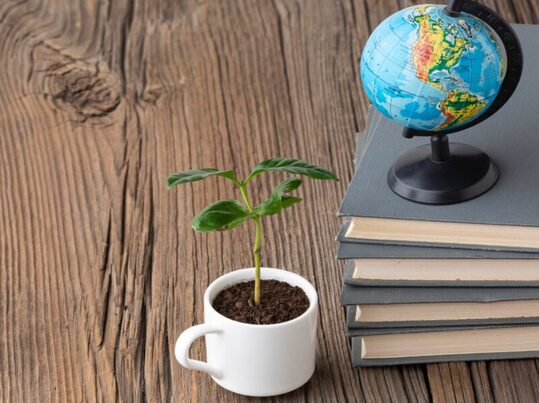 Europa evalúa si su sistema de información ambiental está preparado para los retos del Pacto Verde