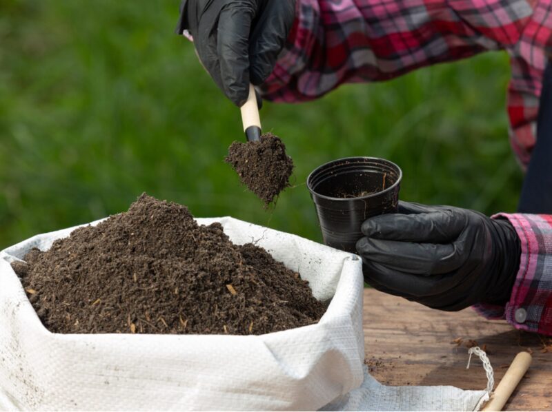 Un estudio demuestra el potencial del biochar obtenido de residuos cerveceros para retener bacterias en medios arenosos