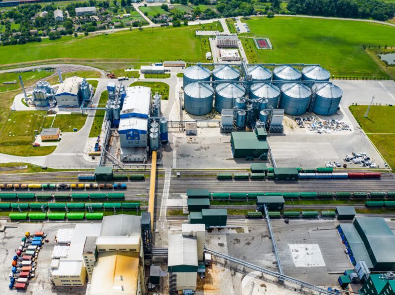 La Universidad de Vigo valoriza residuos de acacias invasoras para producir pellets, briquetas y biochar