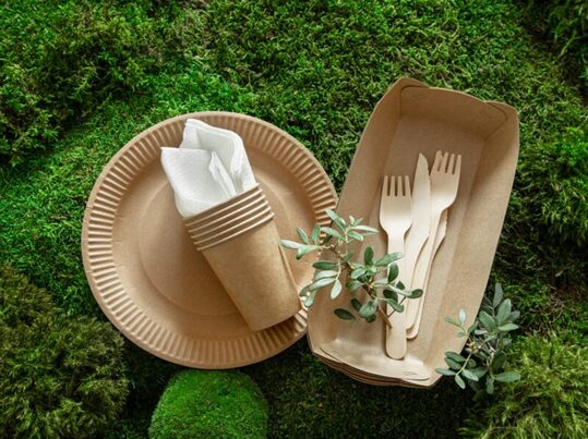 Residuos de colza se convierten en un envase alimentario biodegradable y activo
