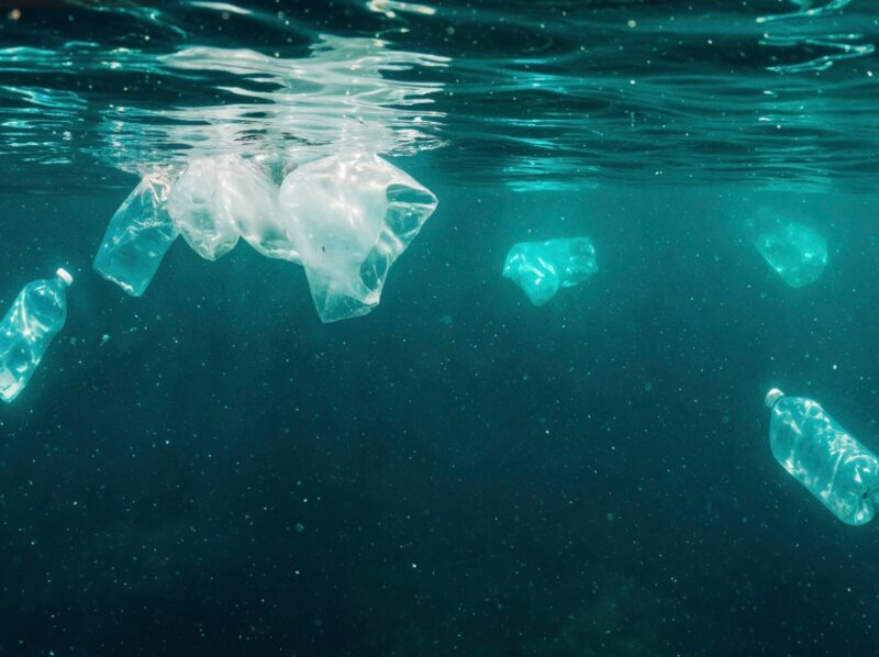Un proyecto español OCEANZYME investiga el reciclado enzimático de residuos plásticos marinos