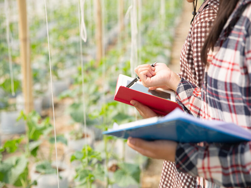Según el informe de Agricultura, España reduce un 19,2 % el desperdicio alimentario desde 2020