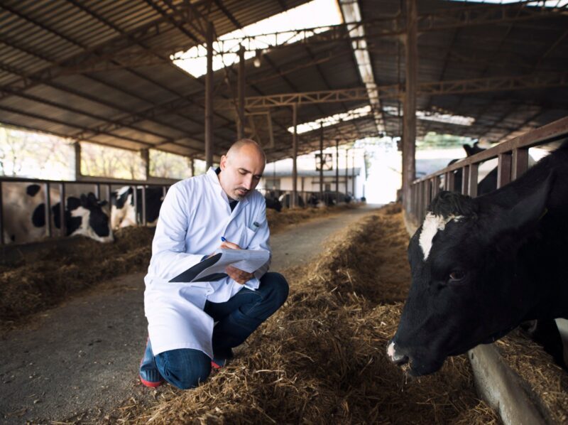 Cataluña pone en marcha una planta experimental para valorizar deyecciones ganaderas