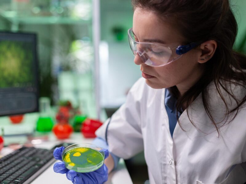 De residuo del tomate a aminoácidos: una investigación explora su valorización mediante fermentación