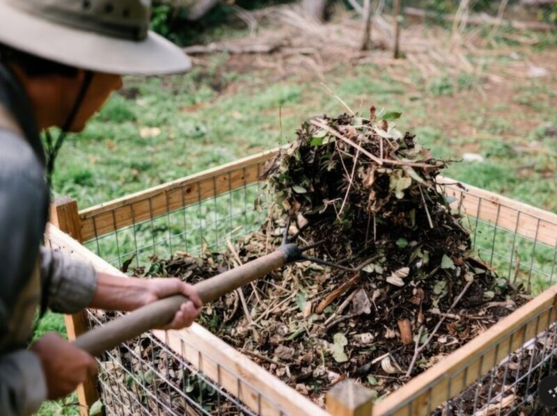 El proyecto NEWPOWER desarrolla biorrefinerías para valorizar residuos agroforestales