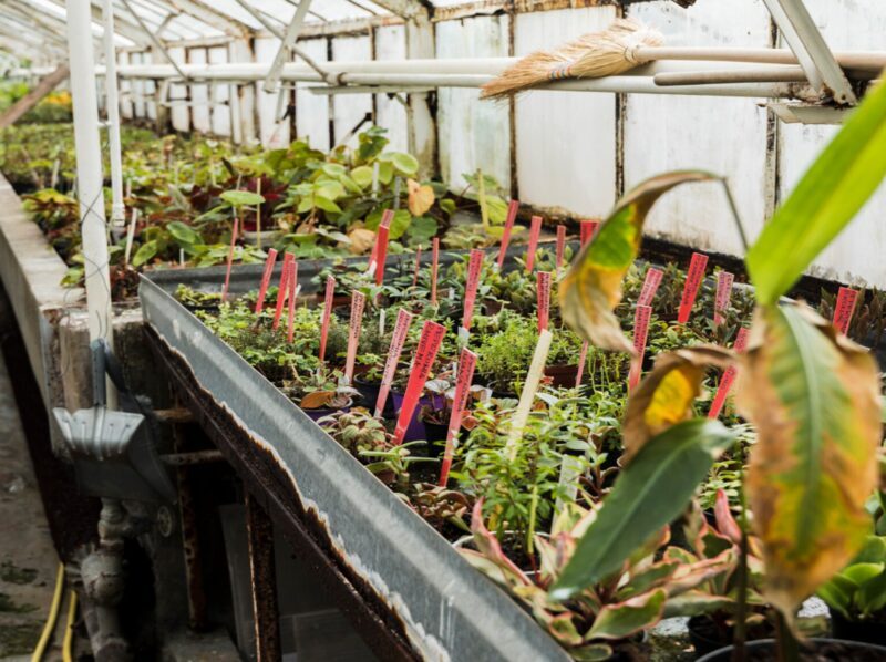 Proyecto REWINE explora la fabricación de piezas plásticas para maquinaria agrícola con restos de poda de vid
