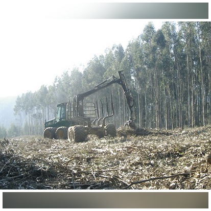 TEN, única empresa de Galicia beneficiaria en los Proyectos Clima del MAGRAMA para reducir emisiones de gases de efecto invernadero